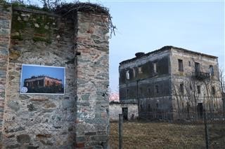 Πελαργοί στη Γυρτώνη ακόμη και το χειμώνα